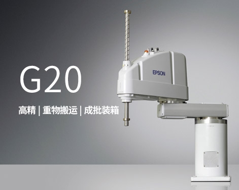 Epson Robot-G20